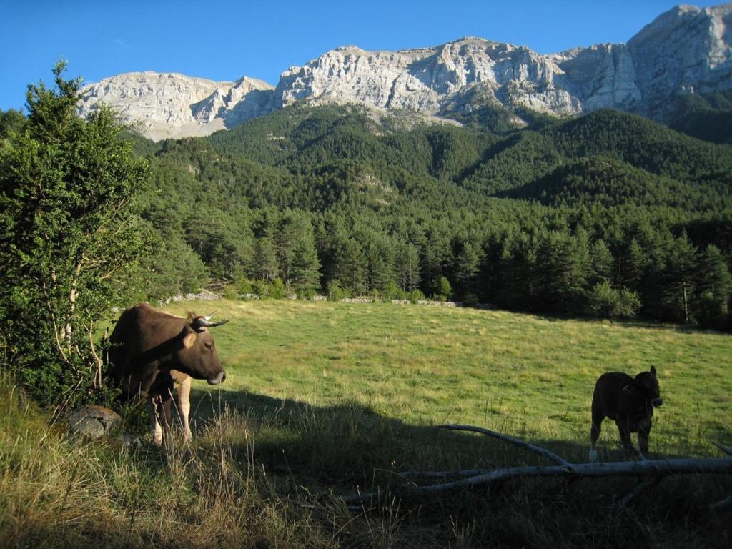 Cal Sansa Villa Cava Bagian luar foto